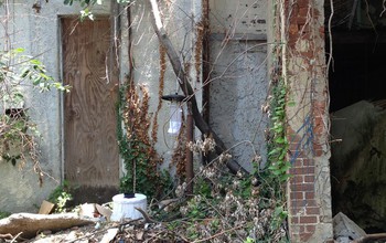 Mosquito traps behind an abandoned building.